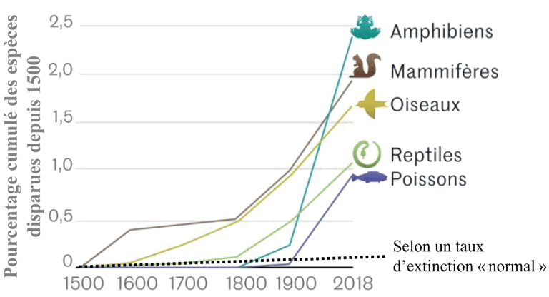 Graphique de l'évolution du taux d'extinction des espèces depuis 1500