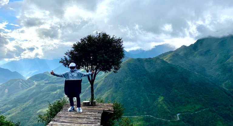 a man standing on a wooden bridge over looking at a tree