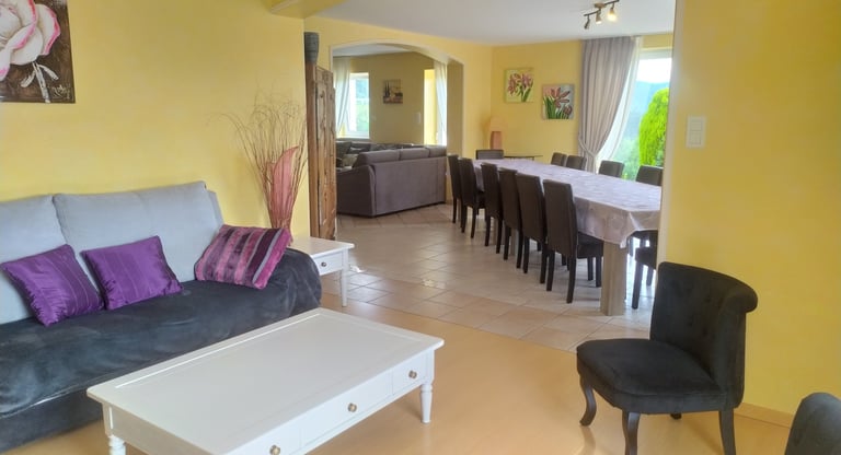 2ème salon, coin bibliothèque avec vue sur salle à manger et salon