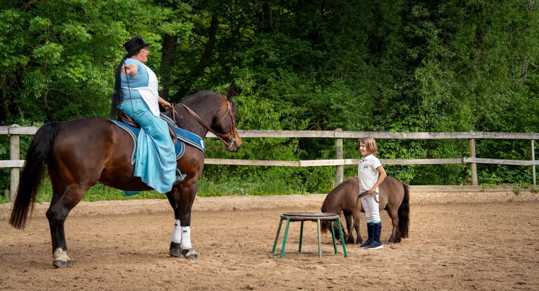 a woman in a blue dress riding a horse