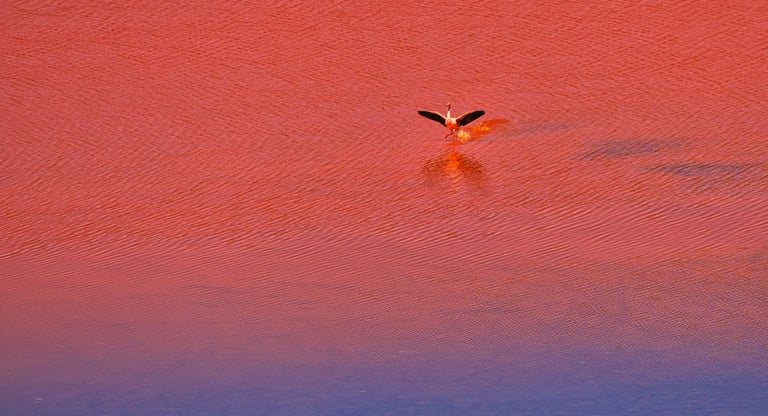 Uyuni & Coipasa Salt Flats Photography Tour Sajama & Potosí Mines 12 Days