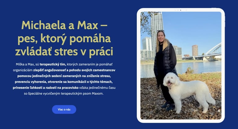 Miška a Max , Websupport