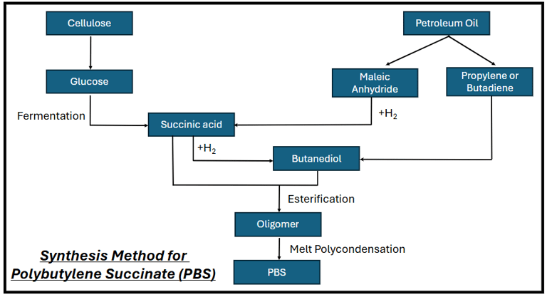 Synthesis method for Polybutylene Succinate (PBS)