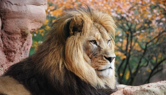 live a life of courage