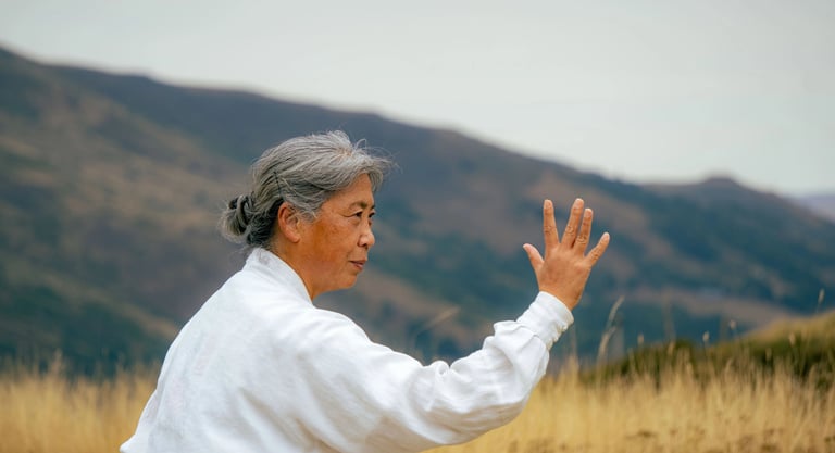 Séminaire de Tai-Chi