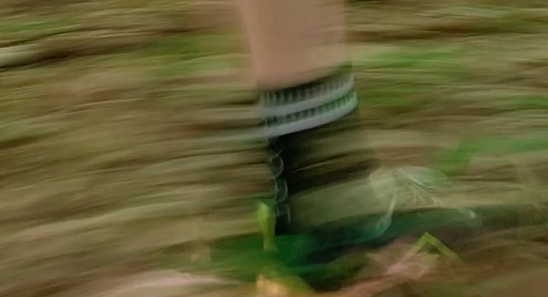 Trail