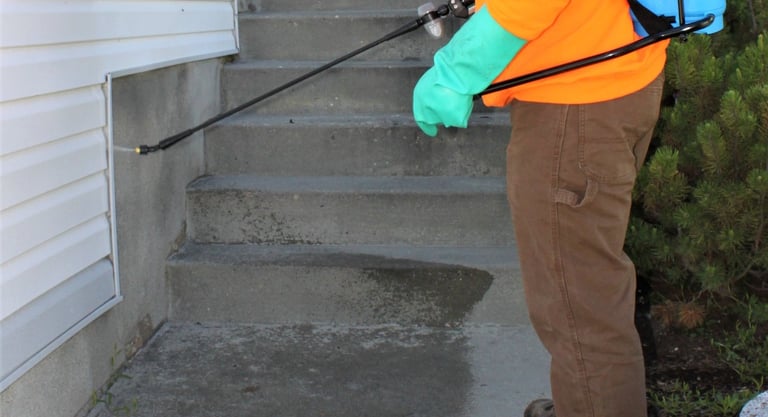 how to keep bugs out of house