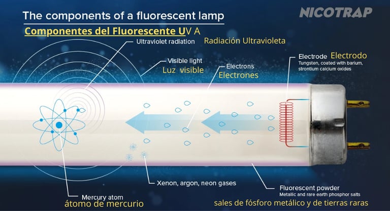 fluorescentes uva componentes y estructura 