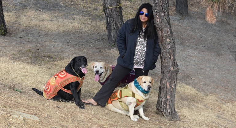 Dog Boarding, Dog Boarding near me, Pet Boarding, Pet Boarding near me, Dog Care, Happy Pettings