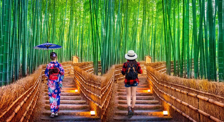 chemin de vie et choix