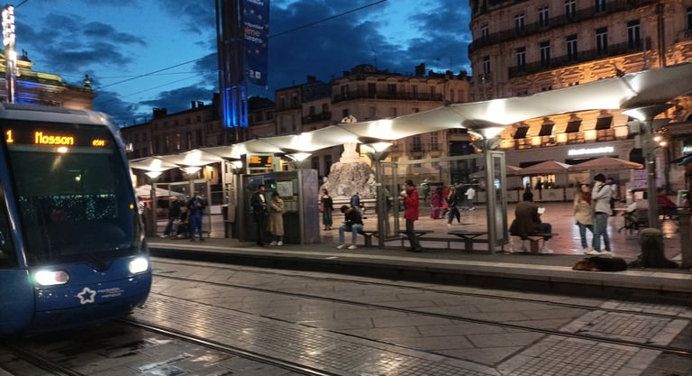 People have abandoned their cars for the tram