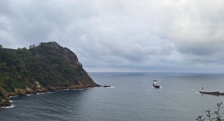 Psichologas Vilniuje