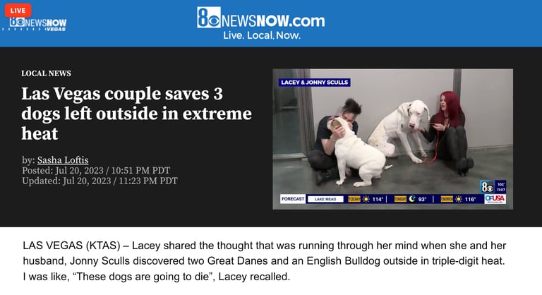 8 News Now, Las Vegas, news story about 3 dogs whose lives were saved by Lacey and Jonny Sculls