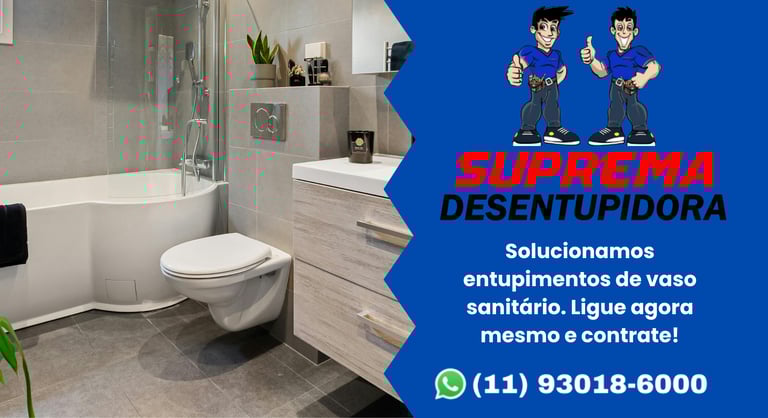 desentupimento de vaso