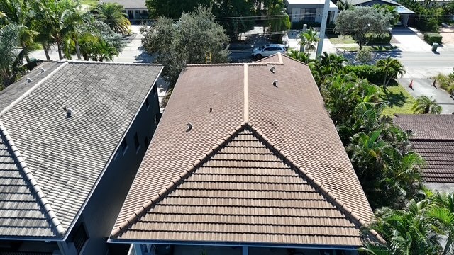 roof soft washing broward county fl