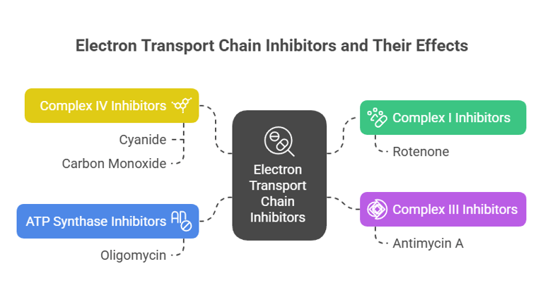 ETC inhibitors