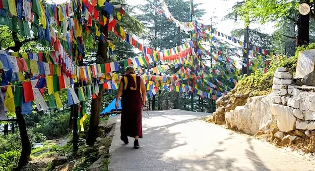 Prayer flags at Tushita Meditation Centre, Mcleodganj, dharamshala.