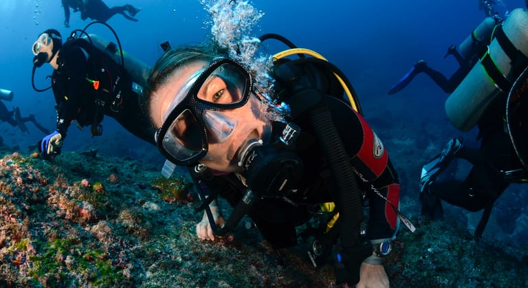 Tracey Billington Scuba Diving with sharks at Cocos Islands, Costa Rica