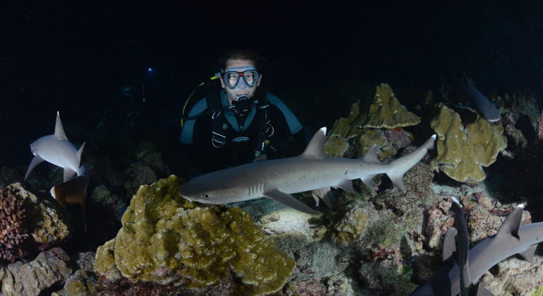 Tracey Billington Scuba Diving with sharks at Cocos Islands, Costa Rica