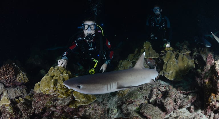 Tracey Billington Scuba Diving with sharks at Cocos Islands, Costa Rica