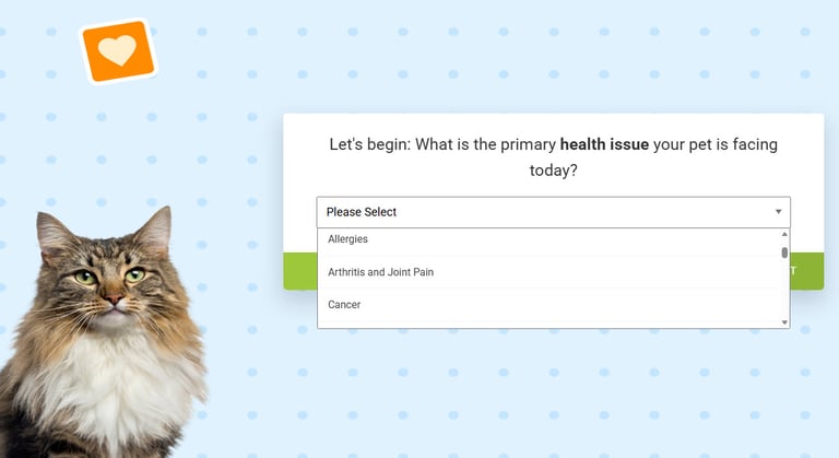 FREE Consultation with Professional