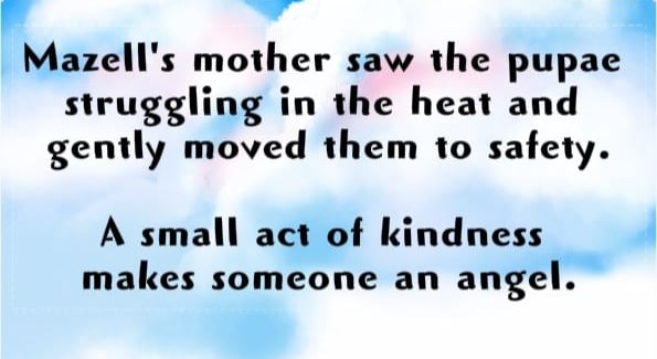 A small act of kindness makes someone an angel