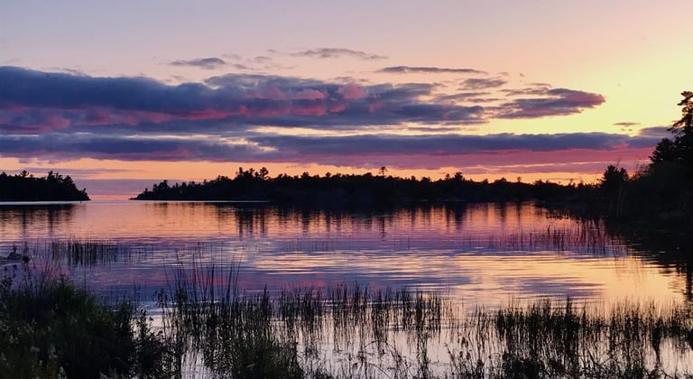 A marshy shoreline area that may be reviewed as part of a Natural Heritage Evaluation.