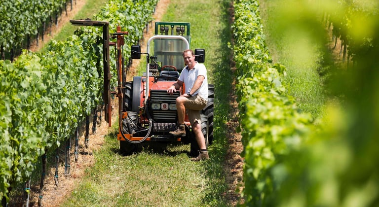 Mann mit Traktor im Weingarten