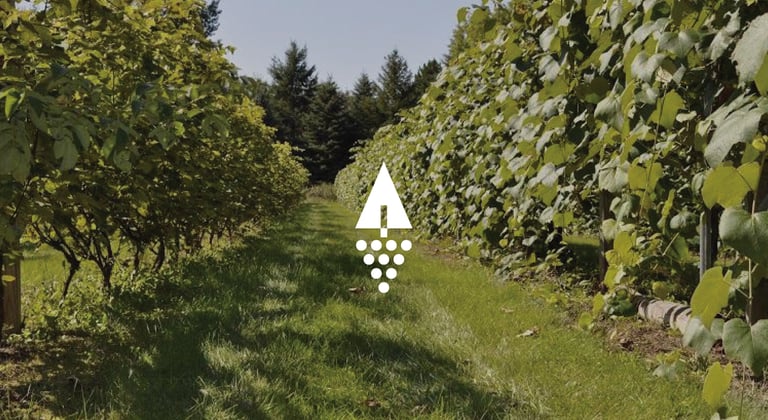 Vineyard logomark design for a minnesota native winery