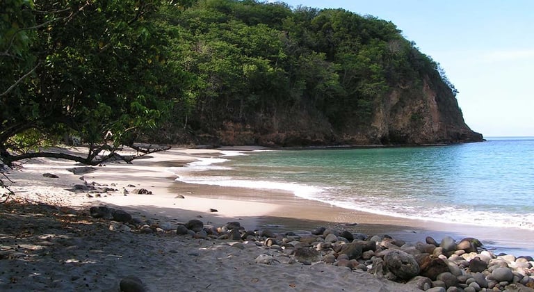Voyage France Guadeloupe Bosco