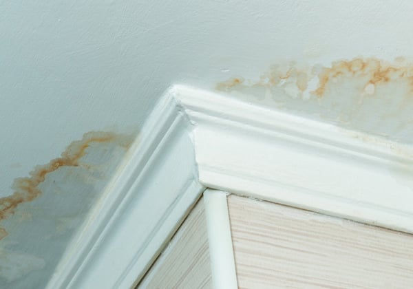 Signs of a leaking roof