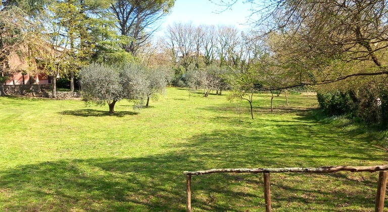 taglio erba terni manutenzione verde 3792561403 giardiniere 