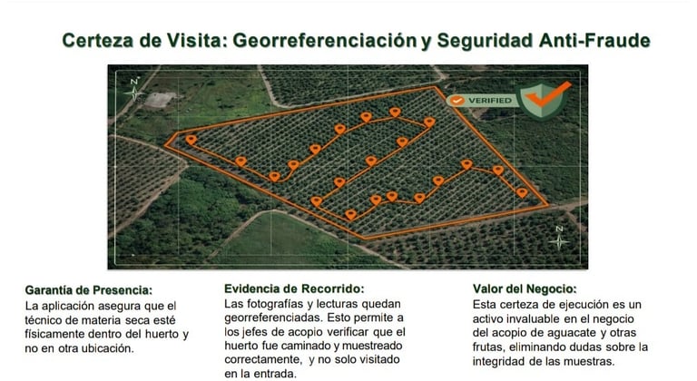 geolocalizacion