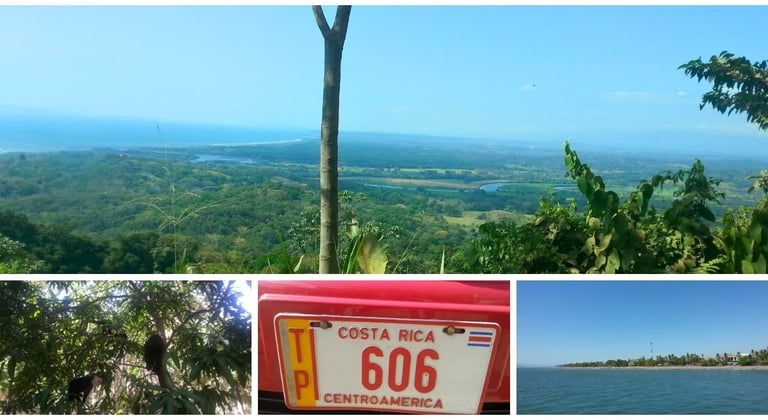 Mar e floresta densa com vida selvagem em passeios pela Costa Rica