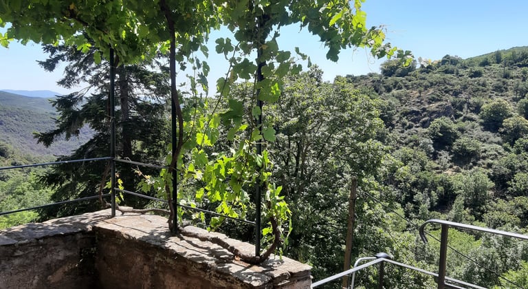 Vue de la terrasse sur la nature au gîte la Petite Corse en Haut-languedoc dans l'Hérault