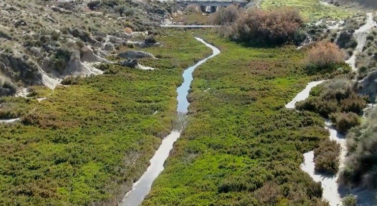 The landscape of Campos del Río and Albudeite is dominated by what are known as "badlands" or "lunar