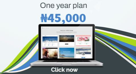 Custom Website Design Services for Business in Nigeria