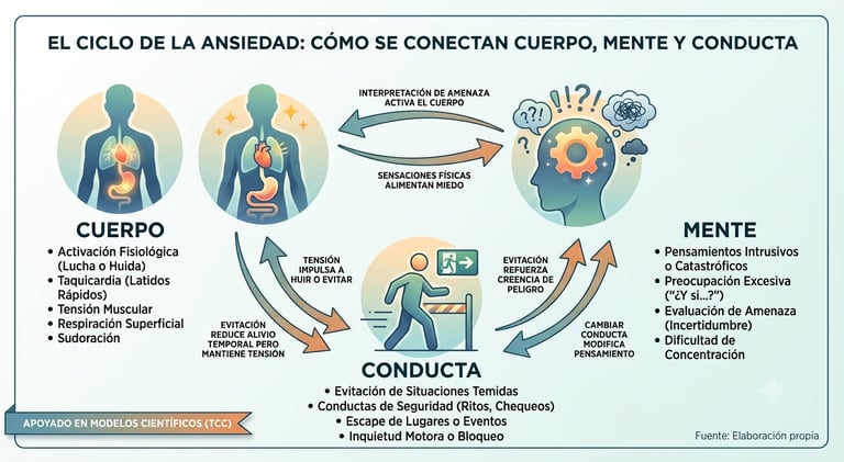 Infografía del ciclo de la ansiedad que conecta cuerpo, mente y conducta según la terapia cognitivo-conductual.