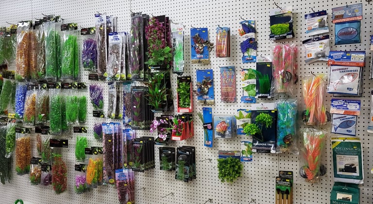Fish supplies-Pet Den