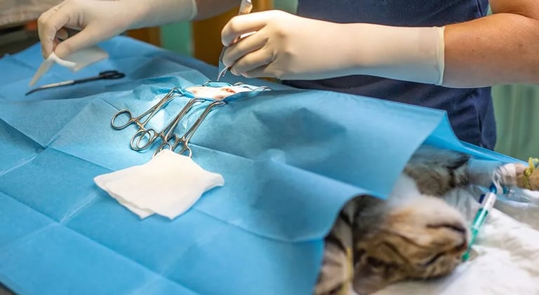 Orthopedic surgery & general surgery