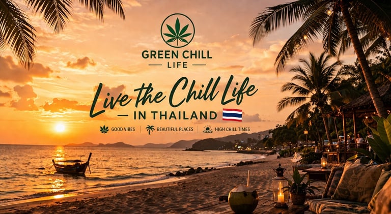 Tropical beach sunset in Thailand with palm trees and relaxing chill atmosphere representing cannabis lifestyle thailand