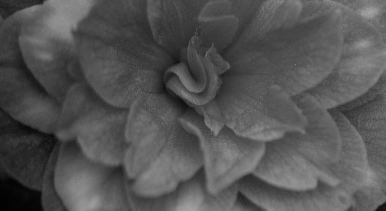 Filosofía de Apotecaria Skin. Tu tienda online de cosmética natural en Canarias.