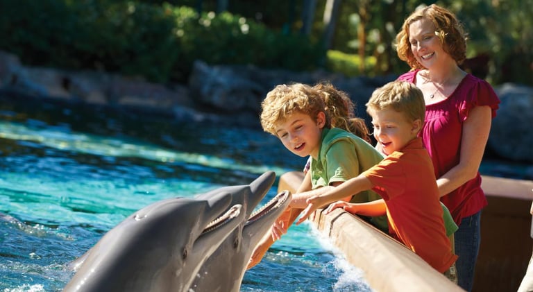 sea-world-san-diego-family-moment-california