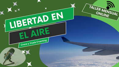 Taller online mensual sobre miedo a volar