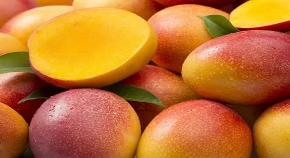 Saiba Quais os Benefícios de Comer Manga