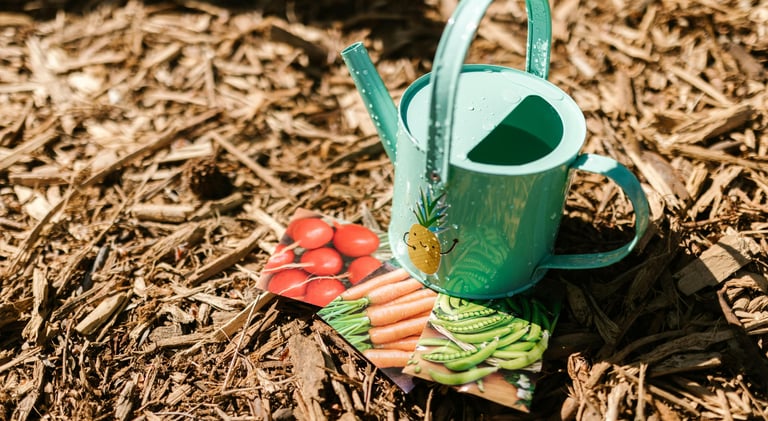 Seed packets and a watering can. Budget-friendly gardening