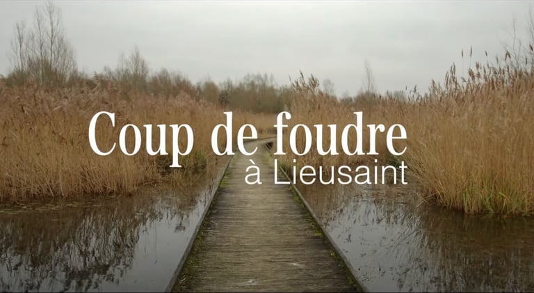 Coup de foudre à Lieusaint - Short film