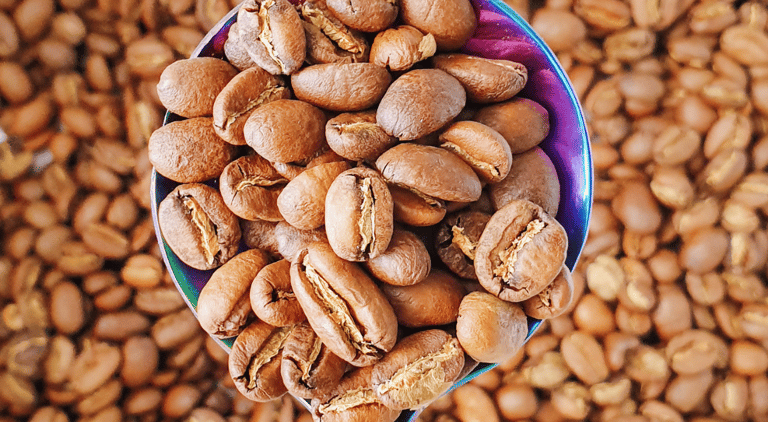 a spoon full of light roasted coffee beans