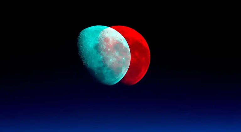 digital art, video installation,  joanna wlaszyn