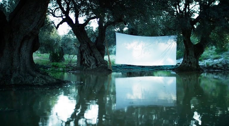 semina il vento Federica Bologna